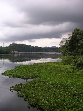 Lake in Gamboa, Panama – Best Places In The World To Retire – International Living